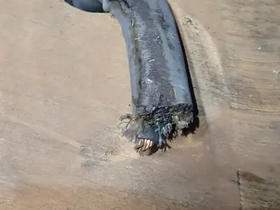 Electrical Cable
