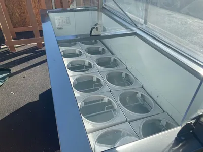 171-0345 68" Full Service Ice Cream Gelato Freezer Case