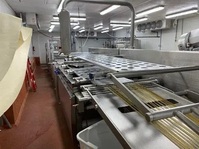 GEA-CFS Slicing Line