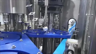Filling Line, Bottles, Blow Molder, Filler/Rinser/Capper, Wrapper #A744851