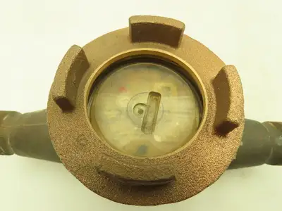 Hays 8MRD 2.5 Bronze Cold Water Meter 1" NPT