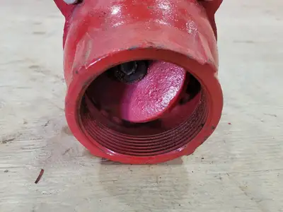 3-1/4" Cast Iron Foot Valve