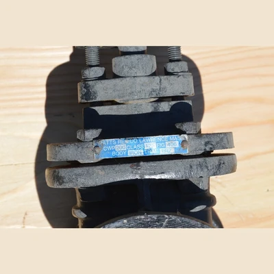 Watts Recco Lawrence 2.5 in. Gate Valve