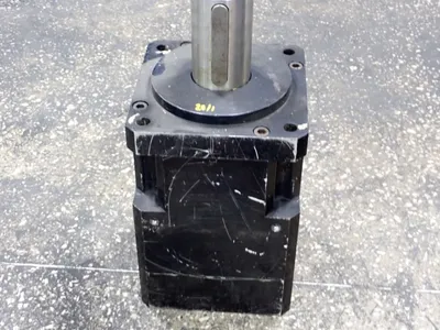 Bayside Gear Head