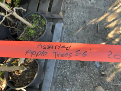Used _UNKNOWN_ _UNKNOWN_ Farm Supplies Michigan US | Miedema Asset Management Group #1476006