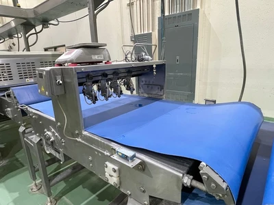 Used FRITSCH _UNKNOWN_ Dough Sheeters & Presses California US | BakeryEquipment.com #1554780