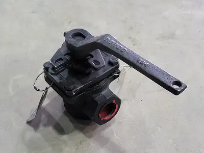 Size 1", Rating 300, Globe Valve PL-1596