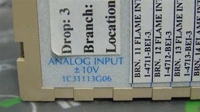 Westinghouse Emerson 1C31113G06 Ovation Analog Input Module Used