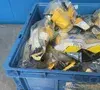 Used HUBBELL HBL27W82 Electrical Fittings Ohio US | HGR 24 #1301728