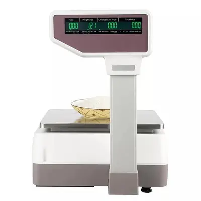 Digital Deli Meat Food Computing Retail Price Scale 66LBs Retail with TD printer