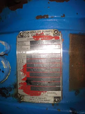 USED Goulds 3196 STX