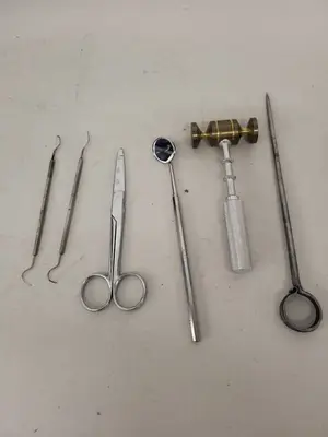 Collection of Vintage Dental Tools and Accessories