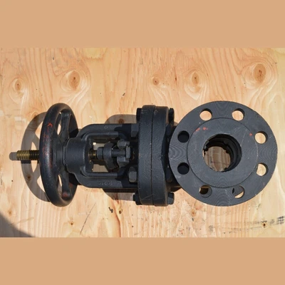 Crane 2.5 in. Gate Valve