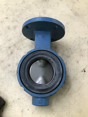 Keystone 2″ CI Wafer Butterfly Valve w/ 304SS Disc