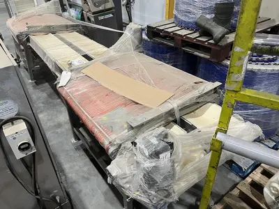 Berry Sizing Conveyor