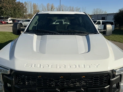 Used 2019 FORD F250 Pickup Trucks Michigan US | Miedema Asset Management Group #1568231
