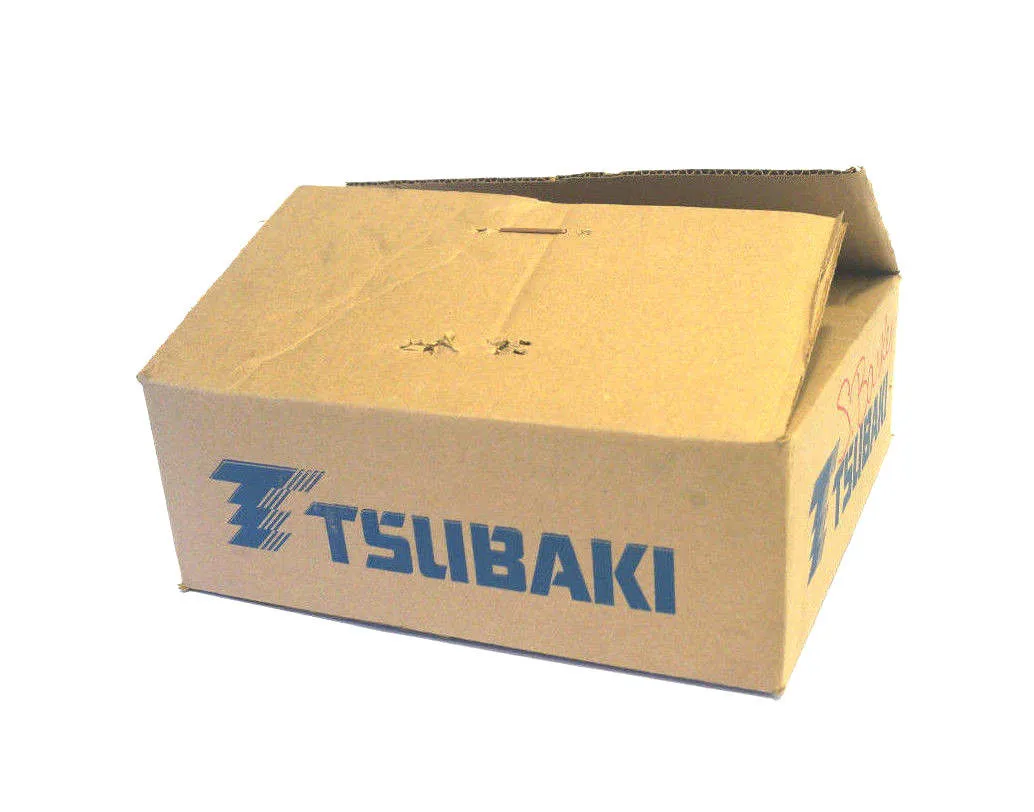 NEW TSUBAKI C2052 (AS) 10' CHAIN