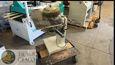 USED 2008 LOEWER (LÖWER) MINISPIN V SANDER