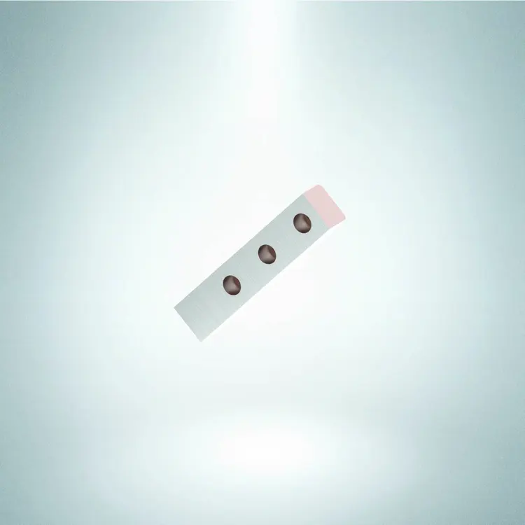 CLEVELAND PUNCH & DIE P10B0013 Shear Blades | Punch Press and Shear