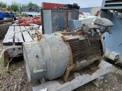 250 hp, 4000 volts, 1780 rpm, 5007C, Electric Motor
