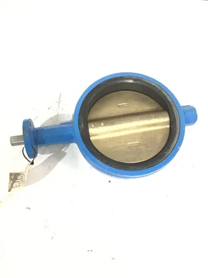 Watts AD10-2 Wafer Style Butterfly Valves 10″ EPDM Seat