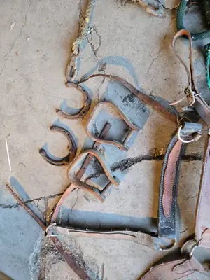 Vintage Western Saddle and Tack Set including Saddle, Stirrups, Reins, and Rope