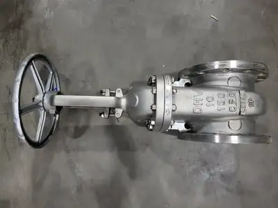 10" Class 150 Gate Valve B16.34