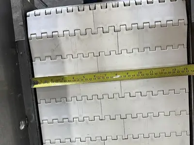 22" Conveyor