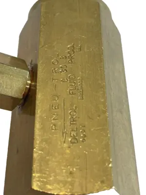 NEW DETROL C30B CHECK VALVE