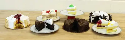 KRUMBEIN | TKSM Vertical Cake & Pastry Slicer
