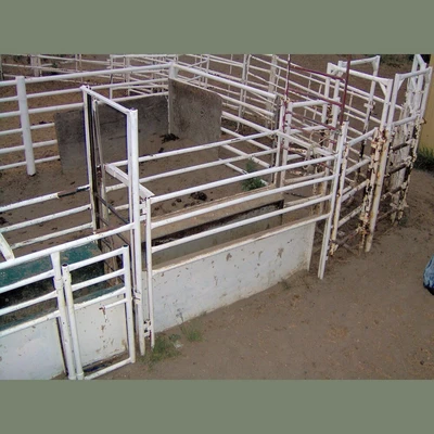 Custom Built Roping Chutes.