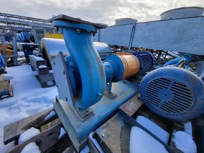 USED GOULDS 3196