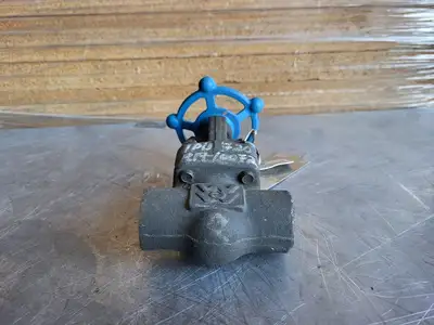3/4" Class 800 Gate Valve B16.34