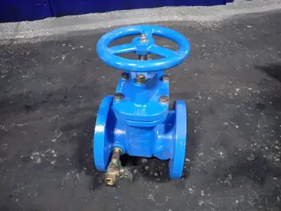 Gate Valve