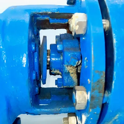 Used LABOUR TABER _UNKNOWN_ Centrifugal Pumps MX | MAQUINARIA PECUSA #1464851
