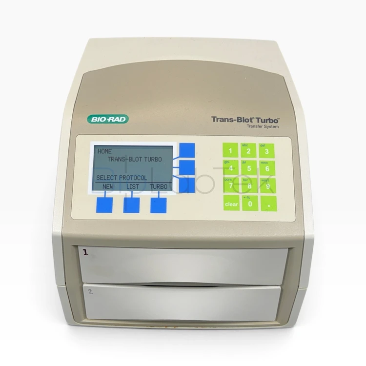 Used Bio-Rad 1704150 Western Blotting Missouri US | BioLabTek #1384060
