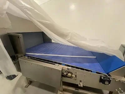 Used 2019 LASER COOKIE LINE Cookie Machines Texas US | Bakery Machinery and Engineering #1770260