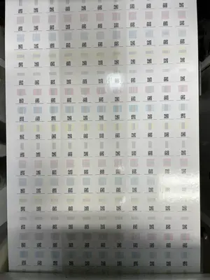 2015 COLORDYNE 2600 RETROFIT DIGITAL RETROFIT | Styers Equipment Company (3)