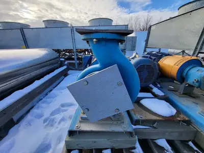 USED GOULDS 3196