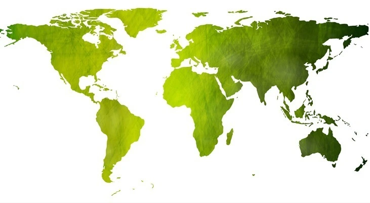 Mapped image