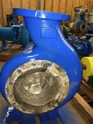 Goulds 3196 8x10x13 SS Pumps (2)