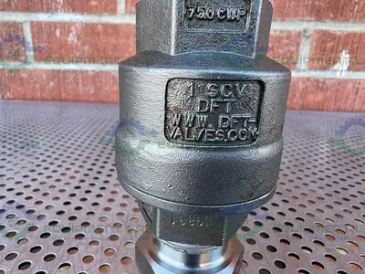 USED DFT VALVES 1 SCV CHECK VALVE 510 PSI W/ 1" SANITARY FITTING