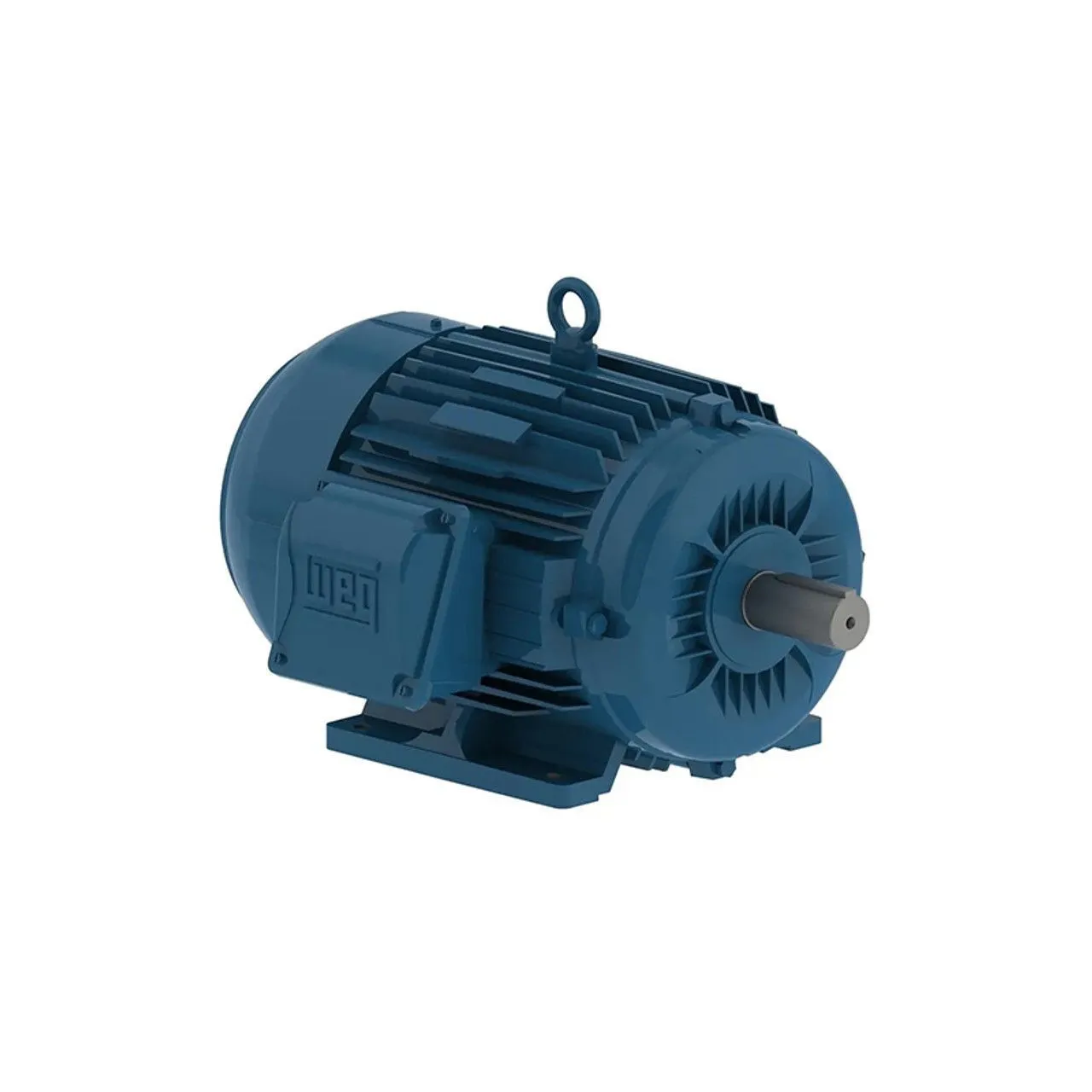 NEW WEG 00318ET3E182T-W22