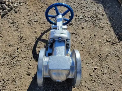 NEW DSI VALVES 37 XUF