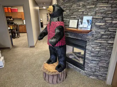6'-3" Black Bear Display