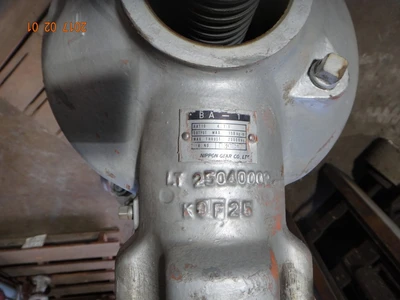 Takamisawa 10", Class 900, CF8, Gate Valve