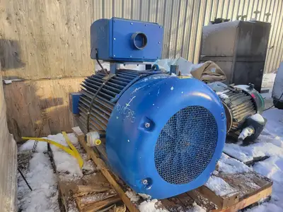 250 hp, 4000 volts, 713 rpm, D509Z AC Induction Motor