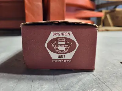 NEW BRIGHTON 495003