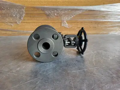 3/4" Class 150 Gate Valve B16.34