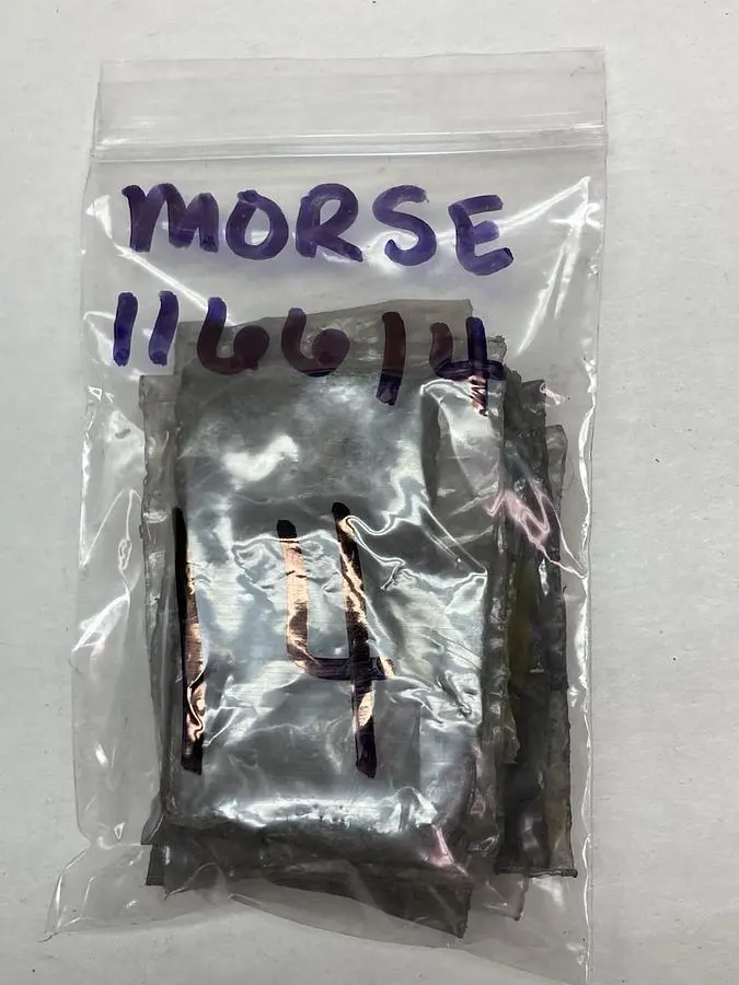 New | in-Stock MORSE 116614 Misc Electrical & Power Parts Ohio US | Surplus Asset Holdings #1236601
